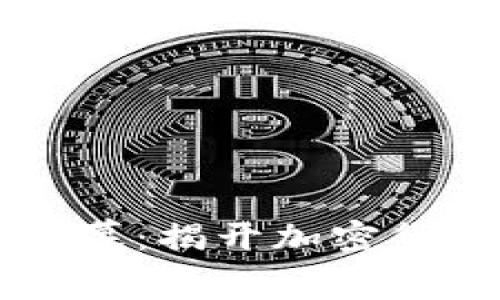 冒死拍摄虚拟币内幕：揭开加密货币背后的黑暗真相