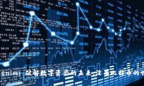 Tokenim: 破解数字资产的未来，没有比特币的世界