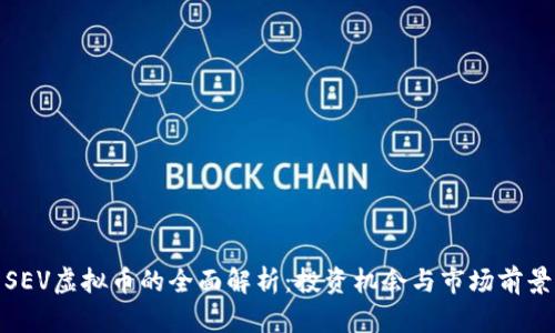 SEV虚拟币的全面解析：投资机会与市场前景