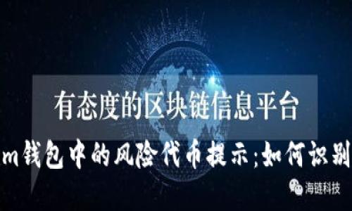 Tokenim钱包中的风险代币提示：如何识别和处理
