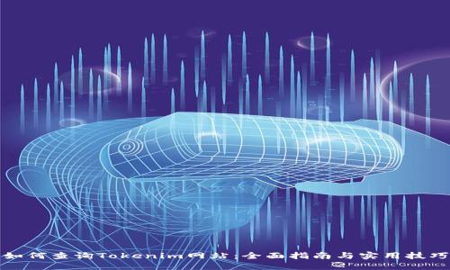 如何查询Tokenim网站：全面指南与实用技巧