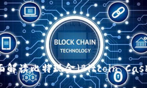 虚拟币BTH：全面解读比特现金（Bitcoin Cash）及其市场潜力