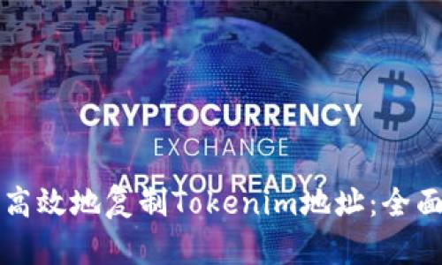 如何高效地复制Tokenim地址：全面指南