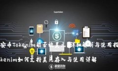 币安币Tokenim能否放美元？