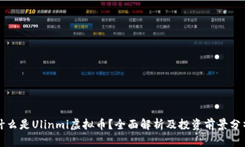 什么是Ulinmi虚拟币？全面解析及投资前景分析
