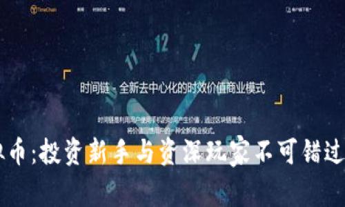 白金币虚拟币：投资新手与资深玩家不可错过的数字资产