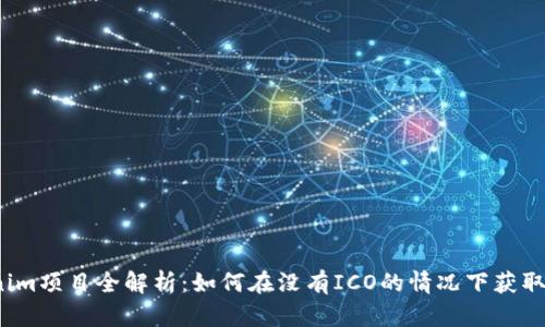 Tokenim项目全解析：如何在没有ICO的情况下获取资金？