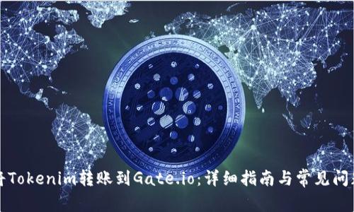 如何将Tokenim转账到Gate.io：详细指南与常见问题解答