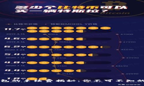 虚拟币钱包的手续费揭秘：你不可不知的背后真相