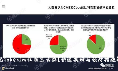 忘记Tokenim私钥怎么办？快速找回与预防措施解析