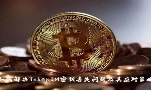 如何解决TokenIM密钥丢失问题及其应对策略