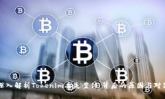 深入解析Tokenim丢失案件：