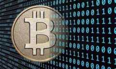 全面解析：2023年最受欢迎