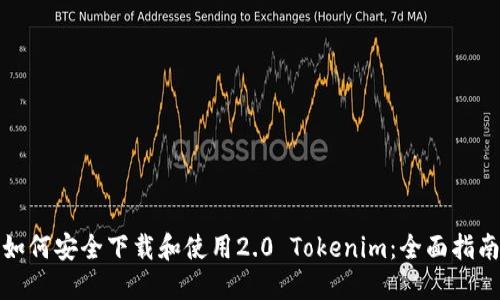 如何安全下载和使用2.0 Tokenim：全面指南