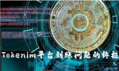 解决Tokenim平台到账问题的
