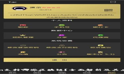 Tokenim支持哪些区块链？全面解析及其应用场景