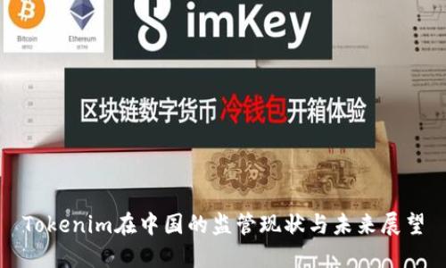 Tokenim在中国的监管现状与未来展望