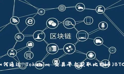 如何通过 Tokenim 交易平台获取比特币（BTC）