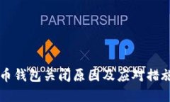 虚拟币钱包关闭原因及应对措施详解