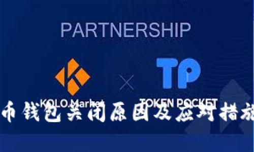 虚拟币钱包关闭原因及应对措施详解