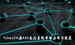 TokenIM在BSC生态系统中的应用与发展