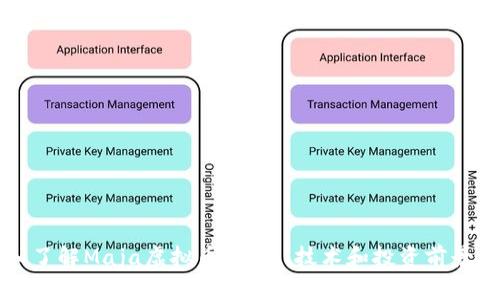 深入了解Maja虚拟币：背景、技术和投资前景分析