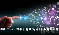 ### TokenIM能否存储Pig币？全面解析与探索