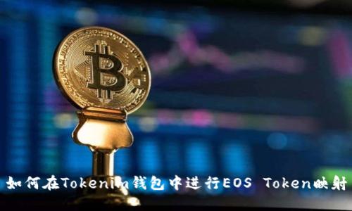 如何在Tokenim钱包中进行EOS Token映射