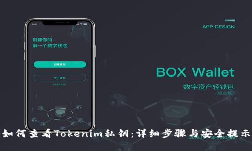 如何查看Tokenim私钥：详细步骤与安全提示
