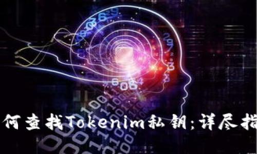 如何查找Tokenim私钥：详尽指南