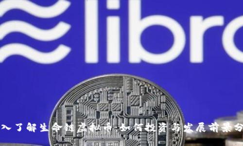 深入了解生命链虚拟币：如何投资与发展前景分析