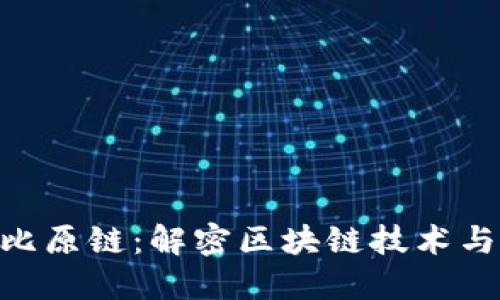 Tokenim与比原链：解密区块链技术与应用的未来
