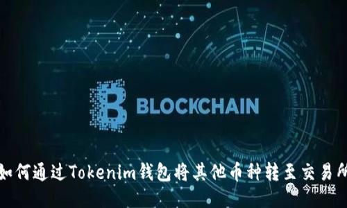 如何通过Tokenim钱包将其他币种转至交易所