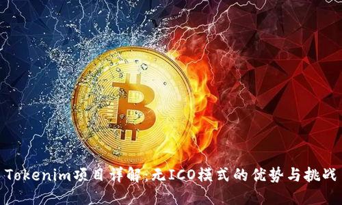 Tokenim项目详解：无ICO模式的优势与挑战