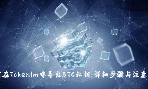 如何在Tokenim中导出BTC私钥：详细步骤与注意事项