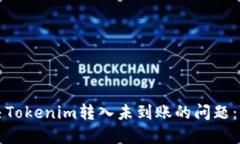 如何解决Tokenim转入未到账的问题：全面指南