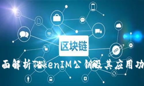 全面解析TokenIM公钥及其应用功能